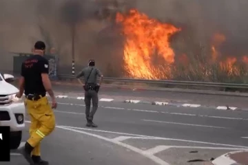 பாரிய காட்டுத்தீ ; இஸ்ரேலில் தேசிய அவசரகால நிலை பிரகடனம்