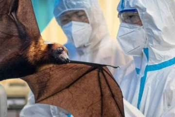 கொரோனா வைரஸின் அடுத்த உறவினர்! நியோகோவ் வைரஸால் சீன விடுத்த எச்சரிக்கை