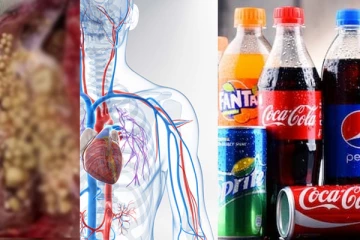 මරණිය කෝලා - තව බීපල්ලා (VIDEO)