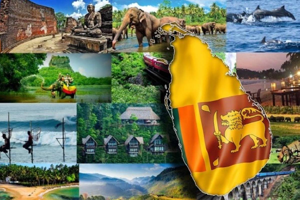 சுற்றுலாத் துறையில் பின்னடைவு ; பயணிகள் வருகை சரிவு | Setback Tourism Sector Decline Tourist Arrivals சுற்றுலாத் துறையில் பின்னடைவு ; பயணிகள் வருகை சரிவு | Setback Tourism Sector Decline Tourist Arrivals