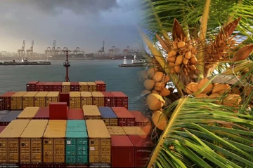 இலங்கையின் இளநீர் ஏற்றுமதி: மில்லியன்களில் ஈட்டப்பட்ட வருவாய்