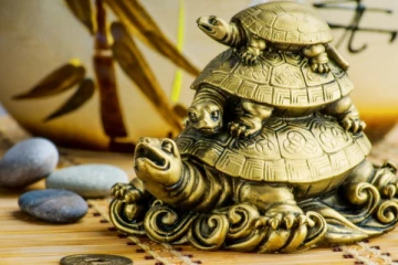 ஆமை சிலையை வீட்டில் வைப்பதனால் நடக்கும் அதிசயங்கள்