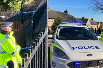 பச்சிளம் குழந்தை உட்பட மூன்று பிள்ளைகளைக் கத்தியால் குத்திய தாய் கைது: இங்கிலாந்தில் அதிர்ச்சியை ஏற்படுத்தியுள்ள சம்பவம்