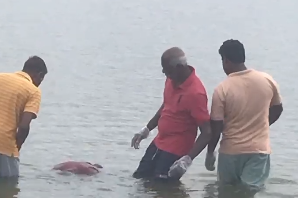 முல்லைத்தீவு ஆற்றில் சடலமொன்று மீட்பு | Body Recovered From Mullaitivu River