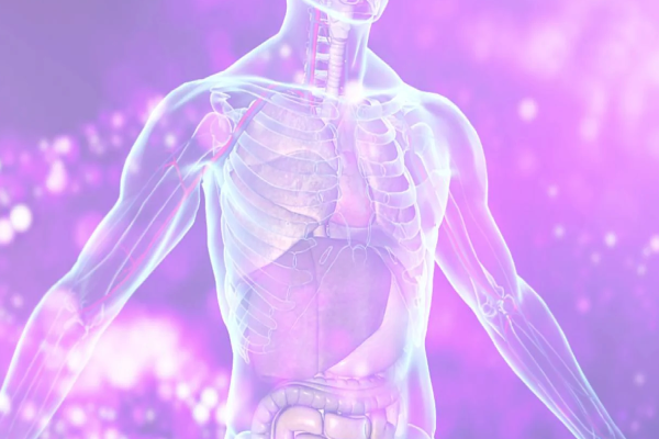 காலையில் வெறும் வயிற்றில் இந்த சாறு குடிங்க - உச்சந்தலை முதல் கல்லீரல் வரை பாதுகாப்பு | Drinking Nellie Drumstick Shot On Empty Stomach காலையில் வெறும் வயிற்றில் இந்த சாறு குடிங்க - உச்சந்தலை முதல் கல்லீரல் வரை பாதுகாப்பு | Drinking Nellie Drumstick Shot On Empty Stomach