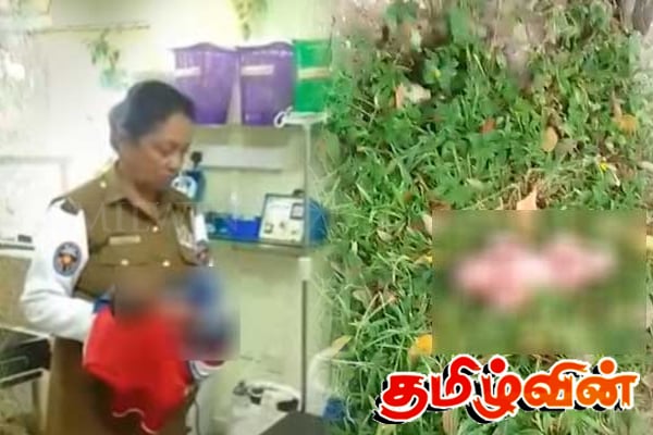 பிறந்த சிசுவை வீசிச்சென்ற தாயிடம் அமைச்சர் விடுத்துள்ள கோரிக்கை | Baby Found In Paddy Government S Announcement