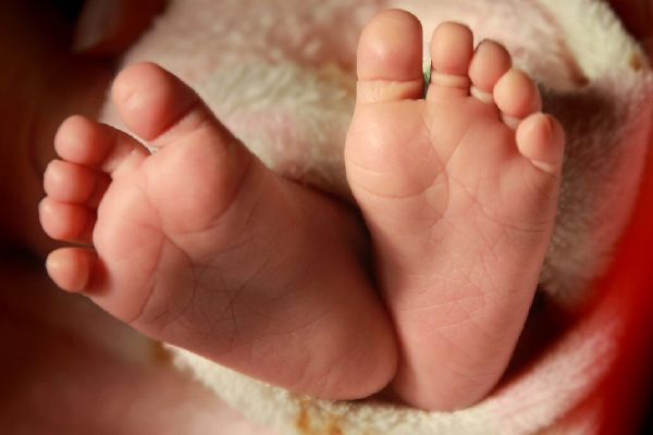 யாழில் மேல்மாடியில் இருந்து கீழே வீசப்பட்ட சிசு | 3 Month Old Baby Was Recovered For Body