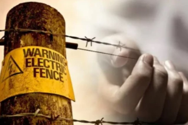 மின்சார வேலியில் சிக்கிய சிறுவனின் கழுத்து, இறுதியில் காத்திருந்த துயரம் ; தமிழர் பகுதியை உறைய வைத்த சம்பவம் | Boy Dies After Trapped In Electric Fence மின்சார வேலியில் சிக்கிய சிறுவனின் கழுத்து, இறுதியில் காத்திருந்த துயரம் ; தமிழர் பகுதியை உறைய வைத்த சம்பவம் | Boy Dies After Trapped In Electric Fence