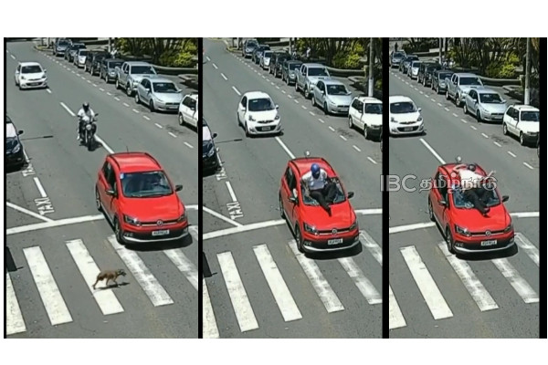 world-viral-video-accident world-viral-video-accident