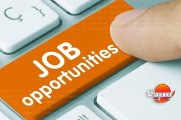 ඔයත් මේ ආයතනවල ජොබ්වලට රැවටුනාද - ආයේ ජීවිතේටවත් අහුවෙන්න එපා ගොඩ ඒමක් නෑ