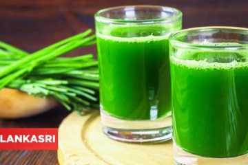 தினந்தோறும் காலையில் அருகம்புல் சாறு குடிப்பதால் கிடைக்கும் நன்மைகள் என்ன தெரியுமா?