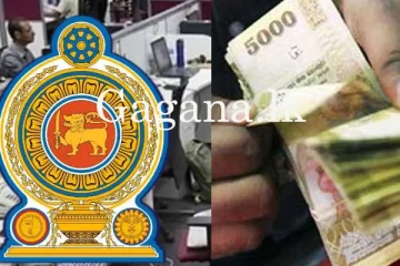 වෘත්තීය පුහුණුවේ ලොක්කෙක් එකවර තැන් දෙකකින් පඩි අරන්.