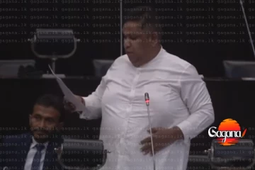 රංගගේ වයිෆ්ලා දෙන්නම වැඩ කළේ මහ බැංකුවේනේ අර්ජුන් මහේන්ද්රගේ යටතේ වයිෆ්ට තිබ්බ තනතුර මොකක්ද - චාමර