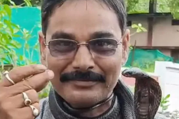 பாம்பைக் கழுத்தில் போட்டு காணொளி எடுத்தவருக்கு நேர்ந்த கதி | Man Who Filmed Himself Snake Around His Neck