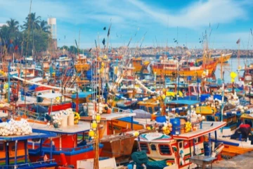 වරායෙන් රටට ඇතුළු වෙන්න හැදූ වෛරසය..!