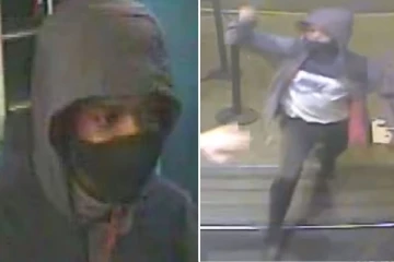 லண்டன் சாலையில் நடந்த கத்திக்குத்து: குற்றவாளியின் தெளிவான புகைப்படத்தை வெளியிட்ட பொலிஸார்