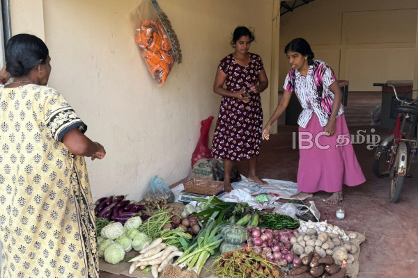மீண்டும் சொந்த இடத்தில் இயங்க ஆரம்பித்துள்ள காங்கேசன்துறை பொதுச் சந்தை | Kankesanthurai Public Market Resumes Operations