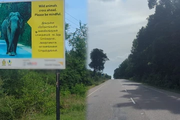 முல்லைத்தீவில் காட்டு விலங்குகள் தொடர்பான எச்சரிக்கை பதாகை தேவை