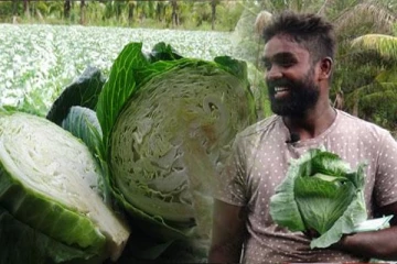 இலங்கை வரலாற்றில் முதன்முறையாக இளம் விவசாயி செய்த சாதனை
