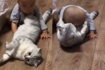 குழந்தையுடன் கொஞ்சி விளையாடும் பூனைக்குட்டி... மீண்டும் மீண்டும் ரசிக்க வைத்த க்யூட் காட்சி