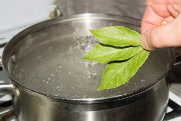 இந்த ஒரே ஒரு இலை போதும்... நீரிழிவு நோய் ஆயுசுக்கும் நெருங்காது!