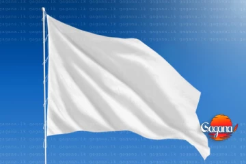 හිටපු පාර්ලිමේන්තු මන්ත්‍රීවරු දෙදෙනෙක් ජීවිතයෙන් සමුගෙන