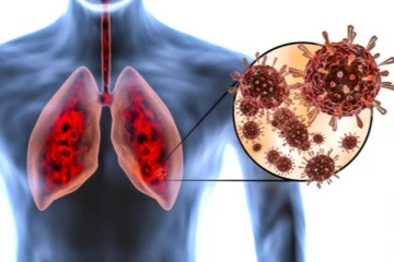 நுரையீரலை பாதுகாக்க சாப்பிட வேண்டிய அற்புத உணவுகள்