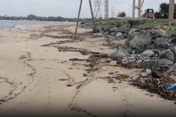 கிண்ணியா உப்பாறு கரையோரம் கடலரிப்பால் பாதிப்பு | Kinniya Upparu Coast Affected By Sea Erosion