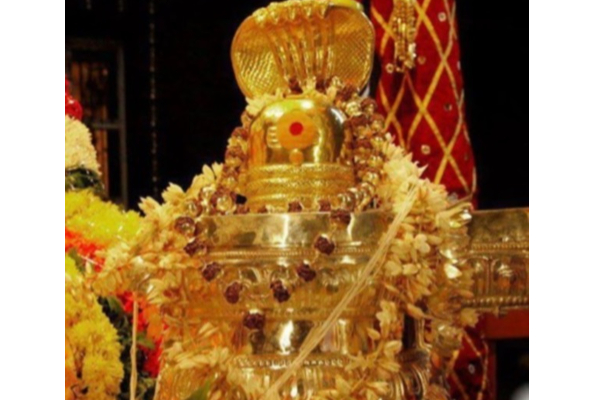 இன்று  மகா சிவராத்திரி  தினம்; நான்கு கால பூஜைகளை வழிபட கிடைக்கும்  பலன்கள்;  என்னென்ன தெரியுமா? | Today Is Maha Shivaratri Day