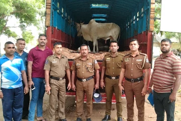 சட்டவிரோதமாக கால்நடைகளை ஏற்றிச் சென்ற சாரதி கைது(Video)