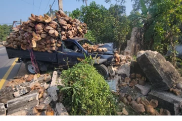 சாவகச்சேரியில் தென்னங் கோம்பைகளை ஏற்றி வந்த பட்டா ரக வாகனம் விபத்து!