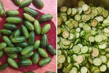 கோவக்காய் சாப்பிட்டால் நடக்கும் அற்புதங்கள்! புற்றுநோயை தடுக்கும்... உடல் எடை குறைப்புக்கு உதவும்