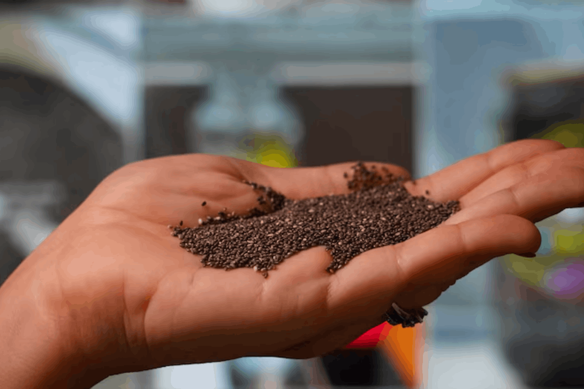 බරත් එක්කම බඩත් අඩු කරගමුද? | Chia Seeds Weigh Loss Magic