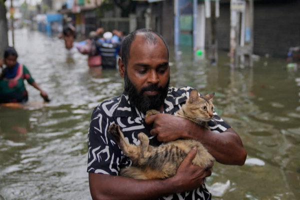 தொற்றுநோய்கள் பரவும் அபாயம்; மக்களுக்கு எச்சரிக்கை! | Risk Of Spreading Infectious Diseases Flood