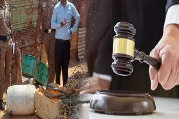 யாழில் சட்டவிரோதமாக இயங்கிவந்த கொல்களம் : நீதிமன்றம் பிறப்பித்துள்ள உத்தரவு