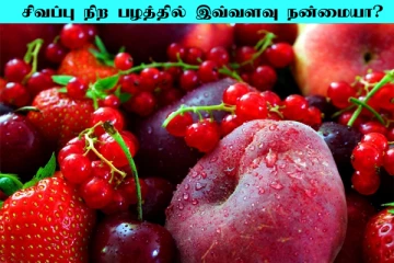 சிவப்பு நிற பழத்தில் இவ்வளவு சத்துக்களா? பலரும் அறியாத உண்மைகள்