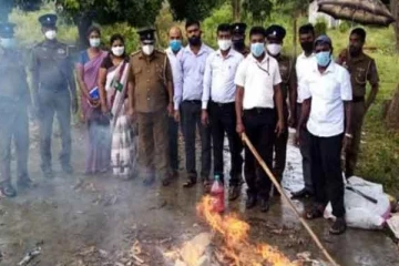 வவுனியா ஓமந்தை பகுதியில் 150 கிலோ கஞ்சா எரிக்கப்பட்டது