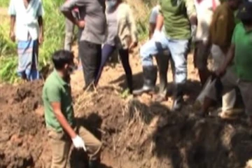 වන අලි සිරුරු දෙකක් ගොඩගත් හේතුව...