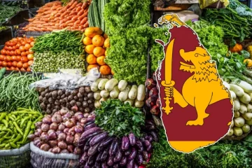 மரக்கறி விலைகளில் ஏற்பட உள்ள மாற்றம்: வெளியான தகவல்