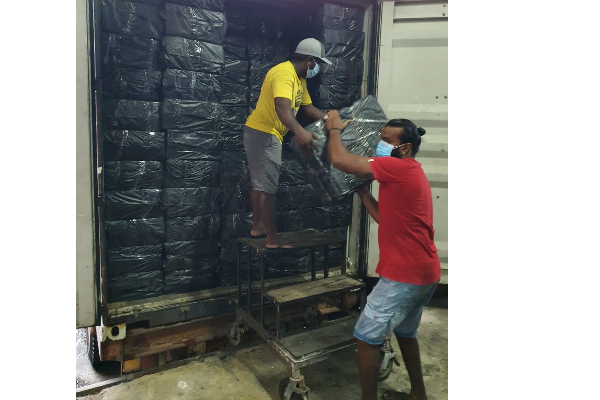 බිලියන 9 ක් වටිනා විදේශීය දුම්වැටි තොගයක් රේගු දැලේ ... | Srilanka Castam