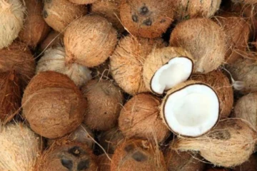 ඉදිරියේදී පොල් කන අයට රතු එළියක්..දැඩි අවධානයෙන් සිටින්න..