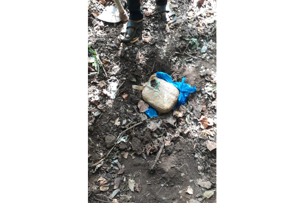 யாழில் கஞ்சாவுடன் மூவர் கைது (Photos) | Three Arrested With Cannabis In Jaffna