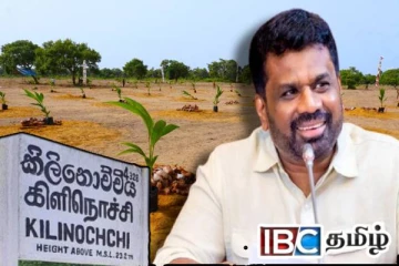 அநுரவினால் ஆரம்பித்து வைக்கப்பட்ட விதை தென்னந் தோட்டம்