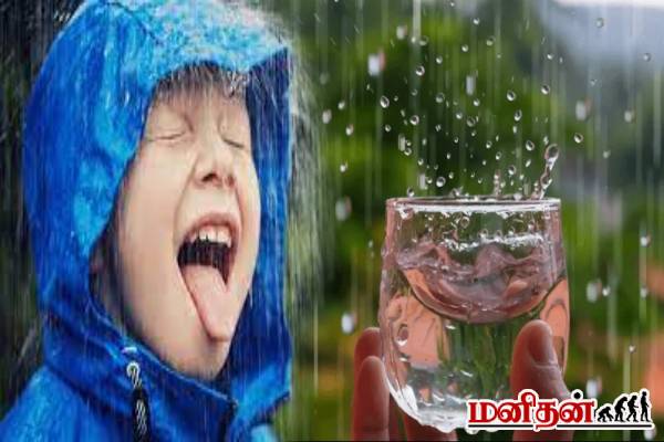 மழை நீரை குடிப்பவரா நீங்க? இவ்வளவு ஆபத்துகள் உள்ளது உங்களுக்கு தெரியுமா? | Is It Safe To Drink Rainwater Scientists Opinion மழை நீரை குடிப்பவரா நீங்க? இவ்வளவு ஆபத்துகள் உள்ளது உங்களுக்கு தெரியுமா? | Is It Safe To Drink Rainwater Scientists Opinion