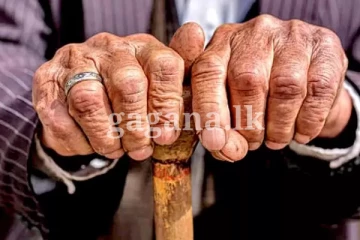 වැඩිහිටි සහ ආබාධිත දීමනා වලට මොකද වුනේ?..