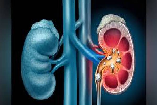 யாரெல்லாம் பாதாம் சாப்பிடவே கூடாது தெரியுமா? | Do You Know Who Shouldn T Eat Almonds