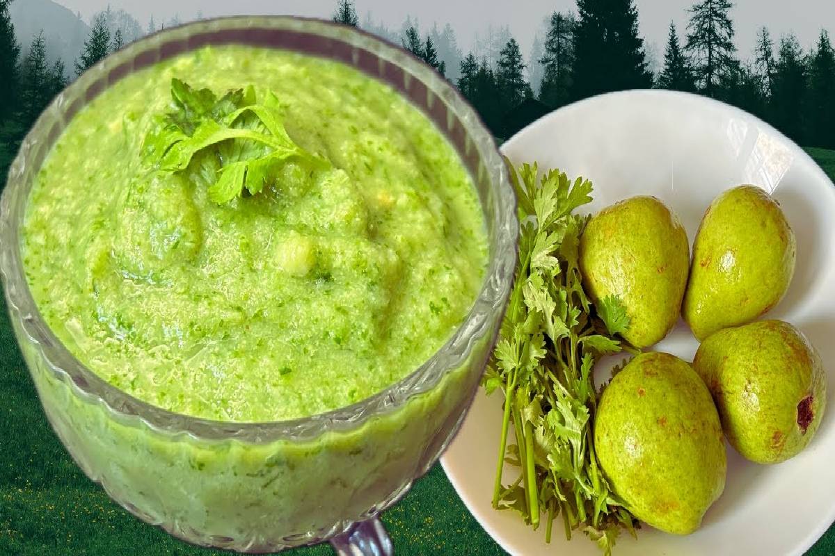 கெட்ட கொழுப்பை கரைத்து வெளியேற்றும் கொய்யா சட்னி... எப்படி செய்வது? | Guava Chutney For Weight Loss