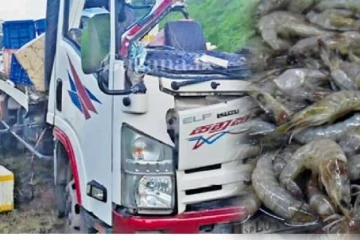 මෙහෙම උදව් නම් ඕනෙම නෑ.. අනතුරට පත් ට්‍රක් රථයට උදව්වට ඇවිත් කරලා තියන දෙයක තරම..