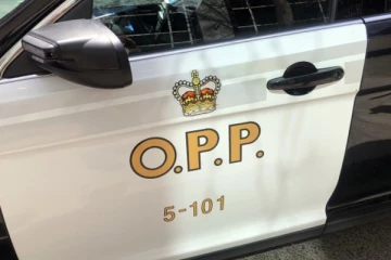 அமெரிக்காவிலிருந்து துப்பாக்கிகளை கடத்தியதாக கனடிய இளைஞர் கைது