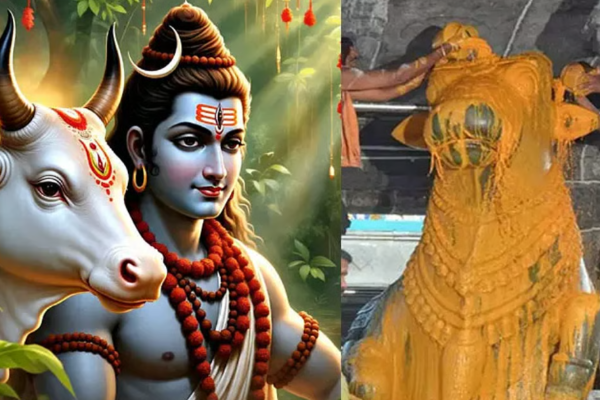 நாளை சனி பிரதோஷ விரதம்.. சனியின் தாக்கம் குறைய இதை செய்ய மறக்காதீர்கள் | 2026 Feb 14 Sani Pradosh Vrat Worship And Benefits